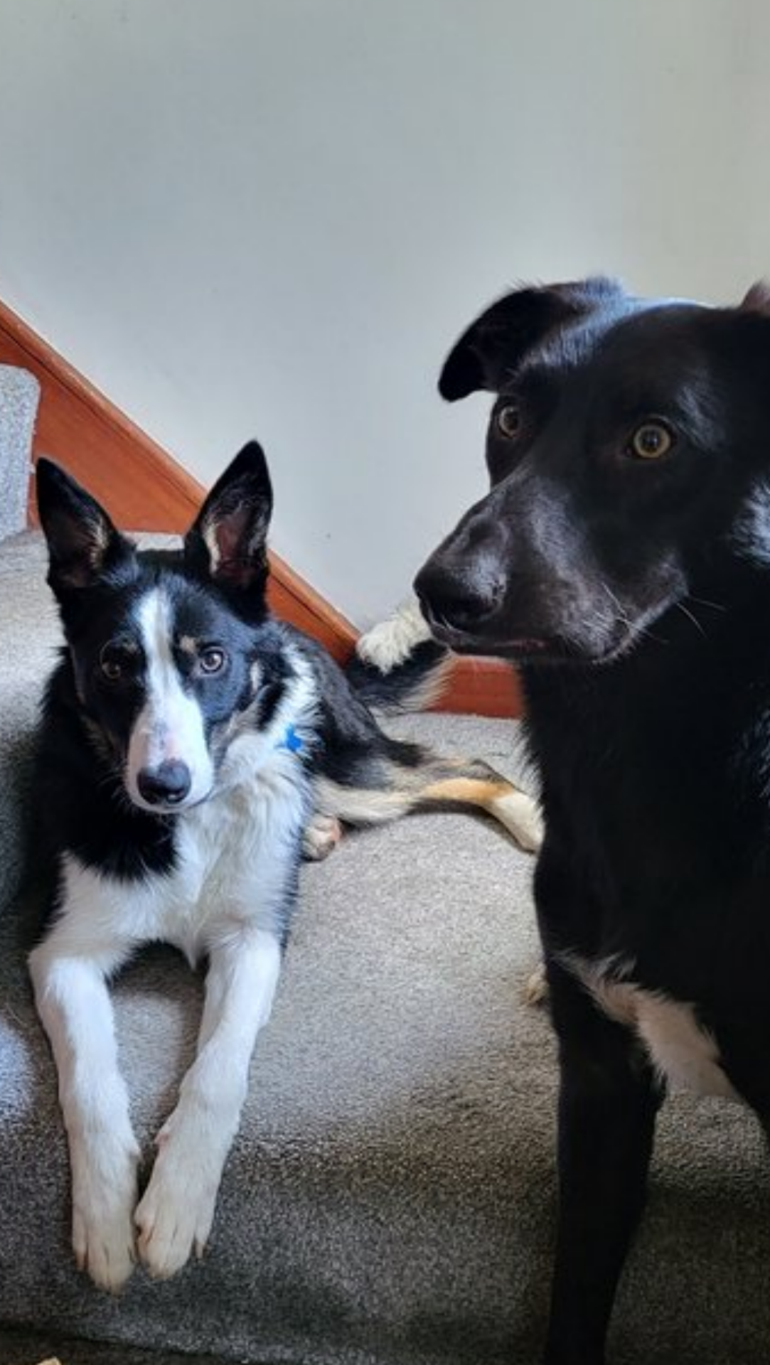 Jake and Jenny